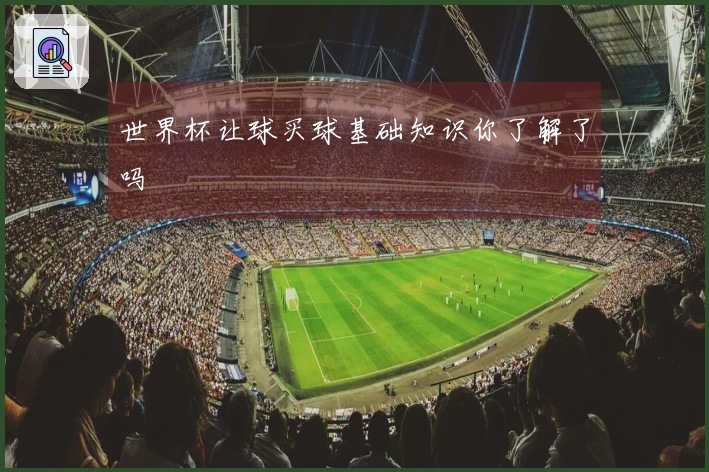 世界杯让球买球基础知识你了解了吗