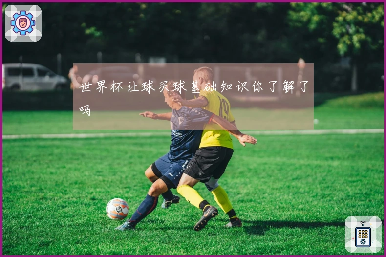 世界杯让球买球基础知识你了解了吗