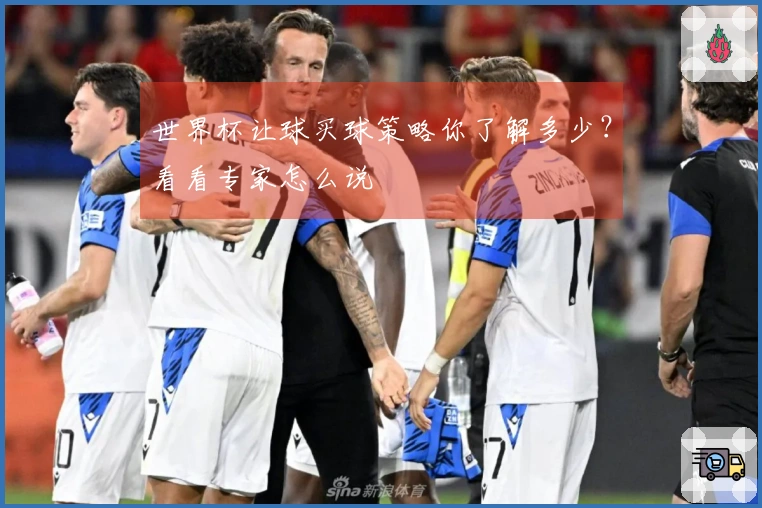 世界杯让球买球策略你了解多少？看看专家怎么说