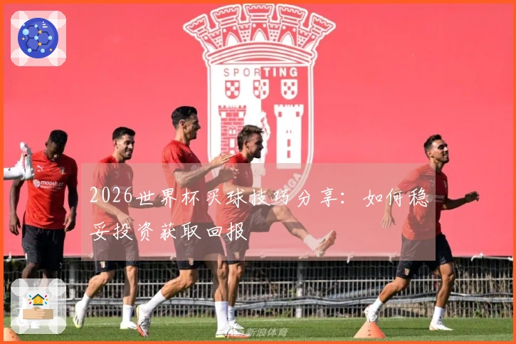 2026世界杯买球技巧分享：如何稳妥投资获取回报