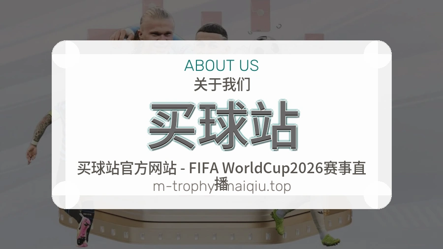 关于 买球站 团队与服务